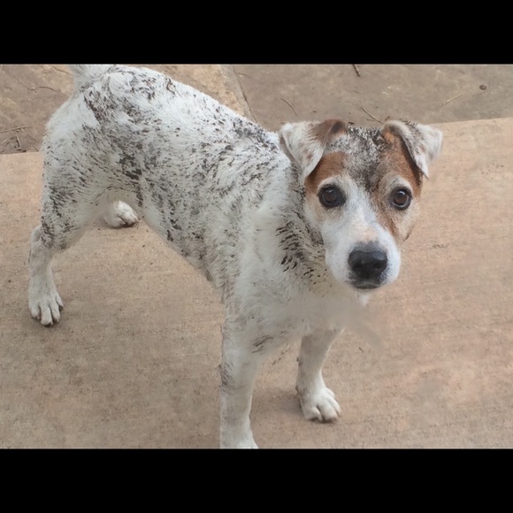 Meet your Posher, Mari - Picture 6 of 11